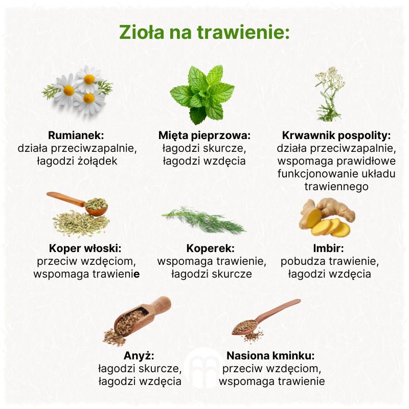 (Polština) Bylinky na trávení